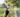 Dogecoin Energy: Fun
