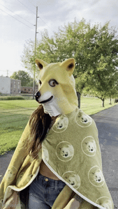 Dogecoin Energy: Fun